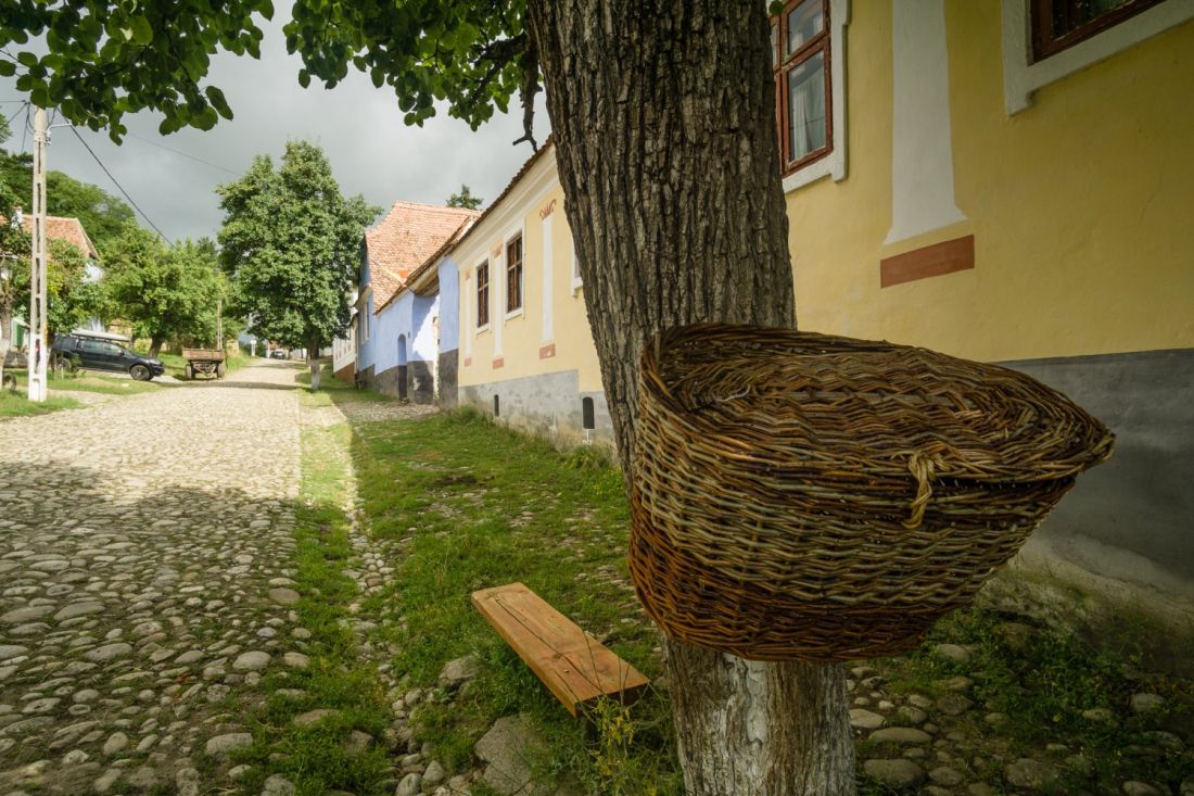 Cesta vedoucí ke kostelu ve Viscri