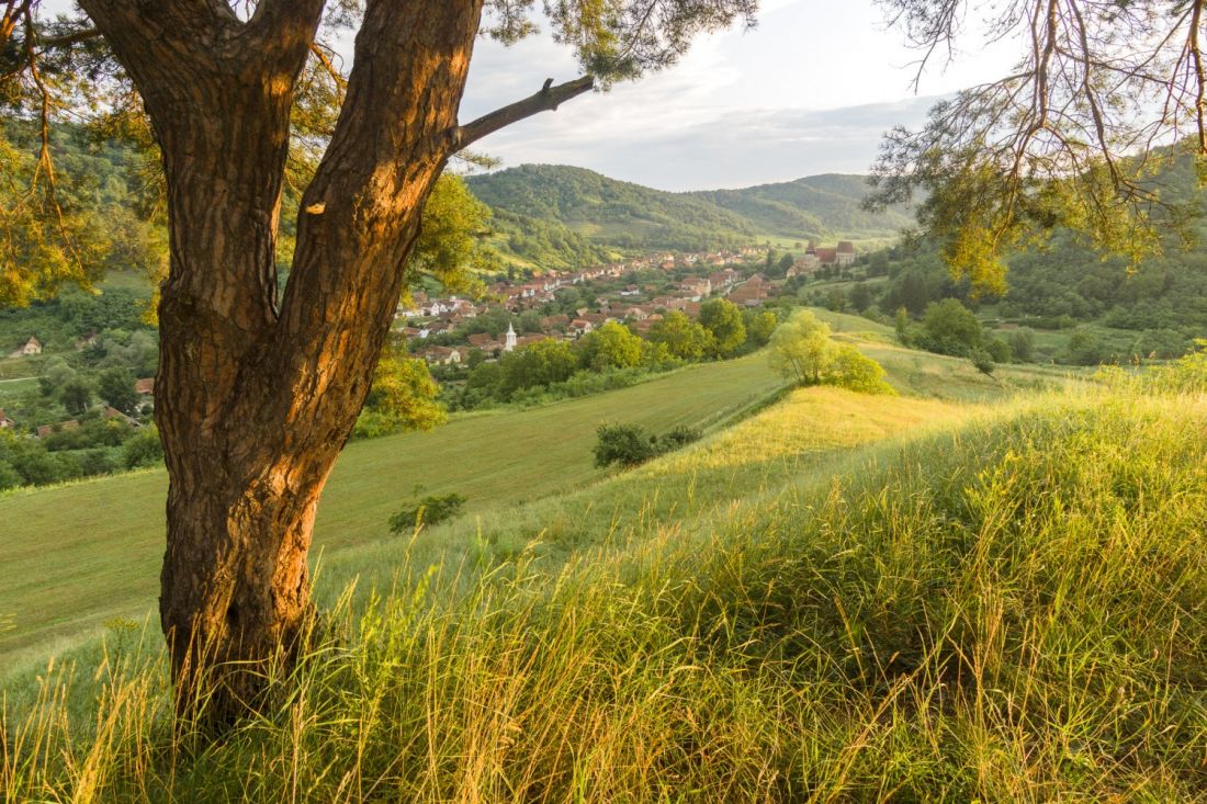 Best campsite in Romania?