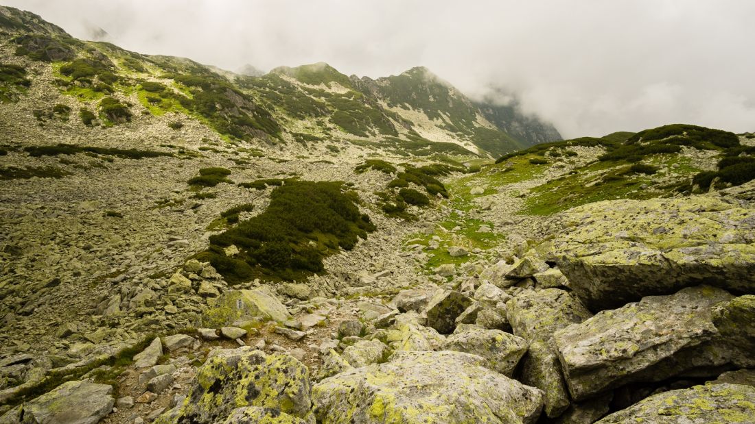 Directly below Curmătura Bucurei