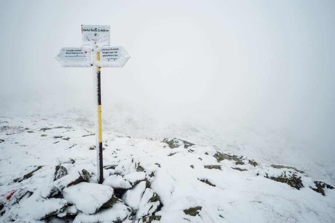 The highest point of the ridge, the 2469 m high peak of Roșu.