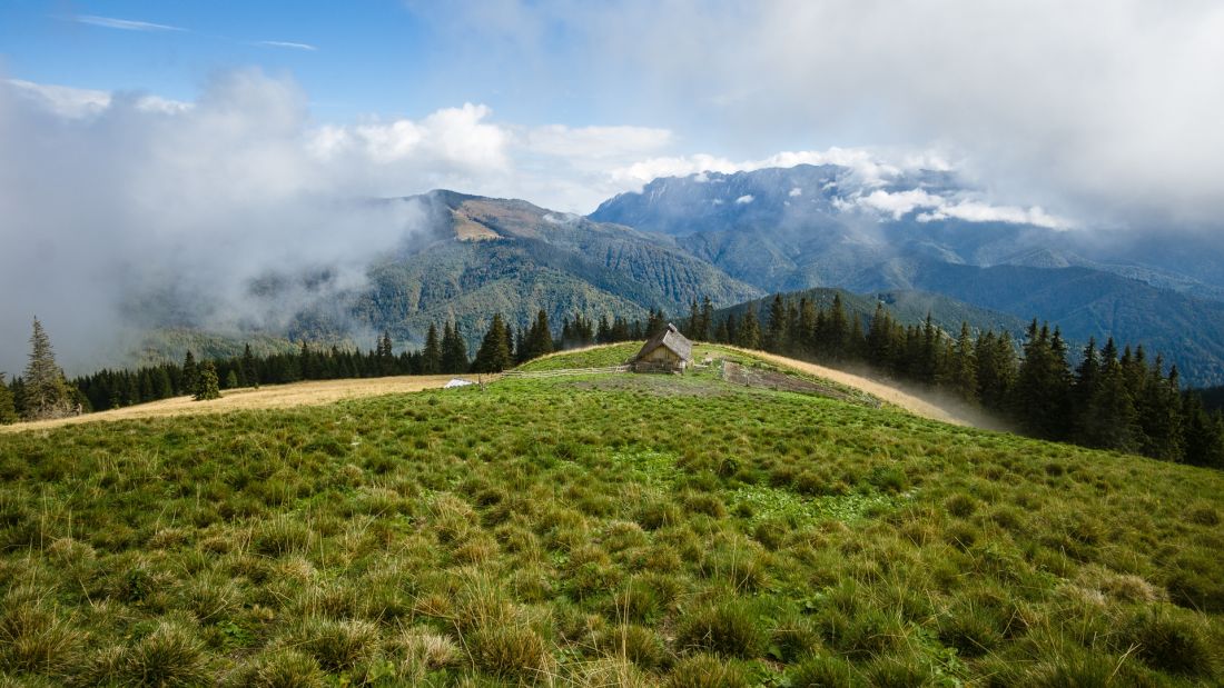 A cabin above the forest line. In the background Piatra Craiului.