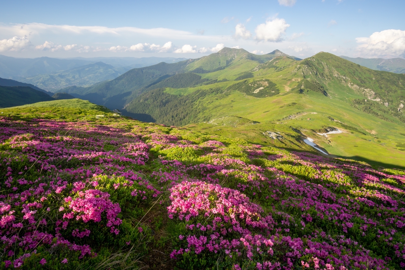 Rozkvetlá Rodna - nejhezčí kout Karpat?