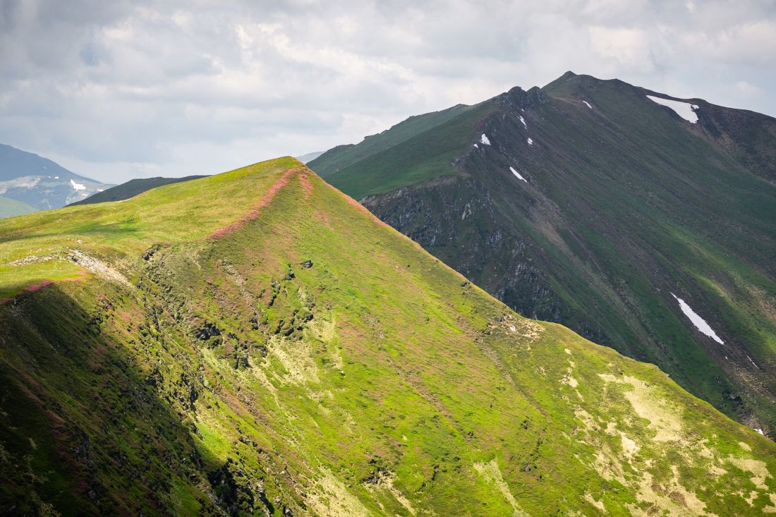 Pink hillsides and the peak of Omului.