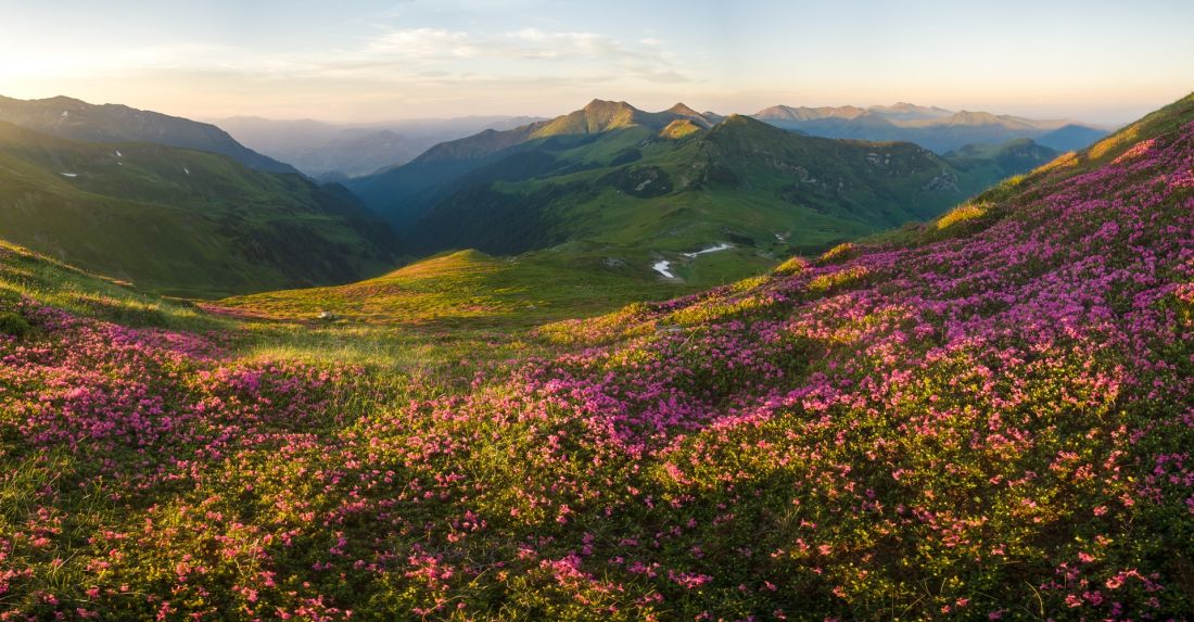 Evening on Repede, view to the top of Puzdrelor.