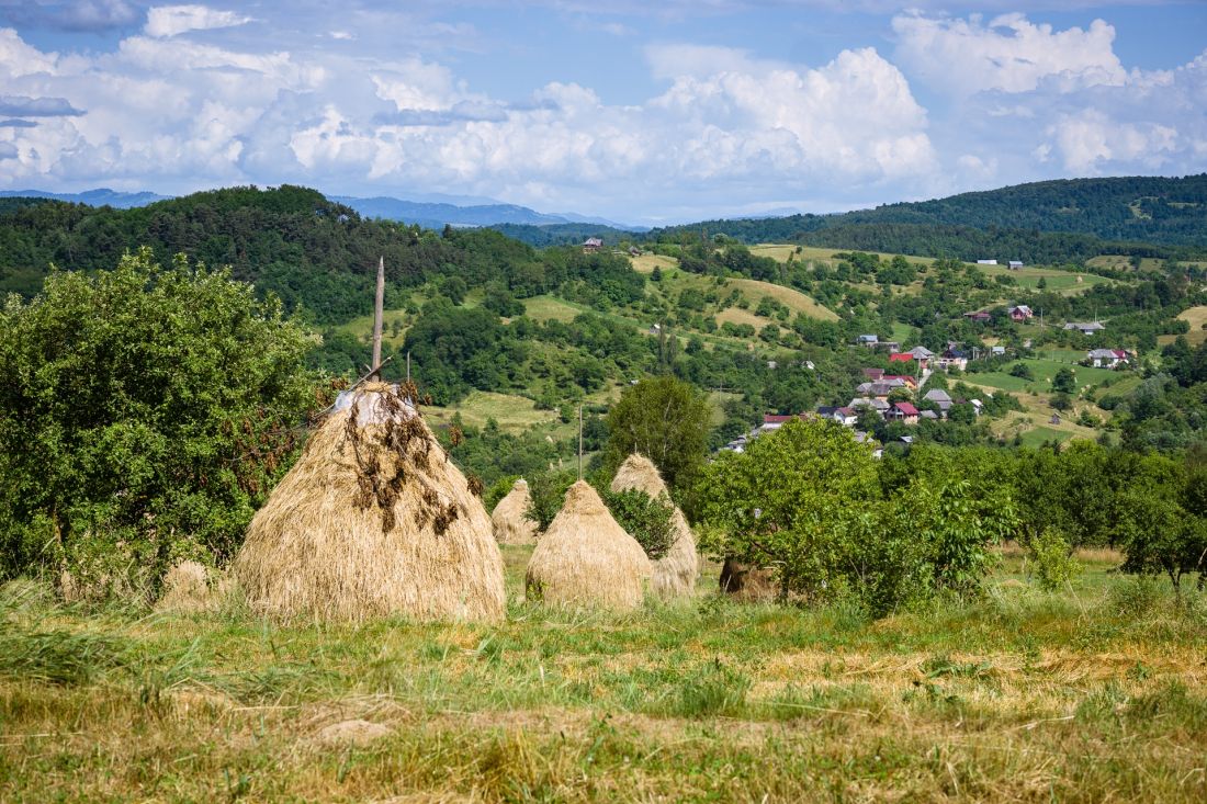 Typical Maramureš landscape.