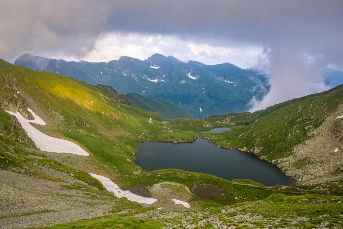 Capra Lac during ascent to Vânătoarea lui Buteanu