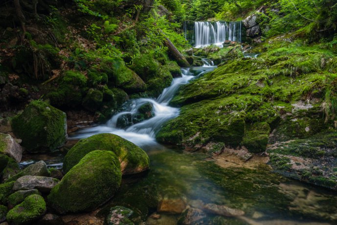 Medvědí brook