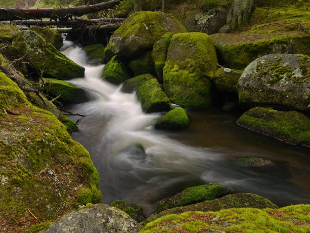 Hamerský brook