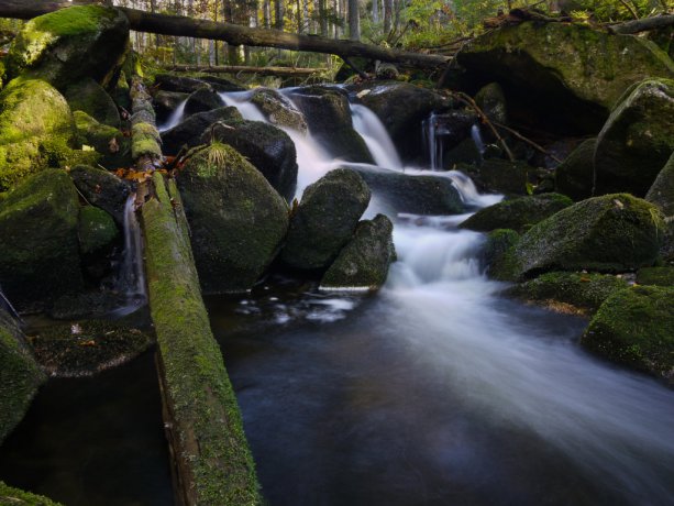 Kleine Ohe brook