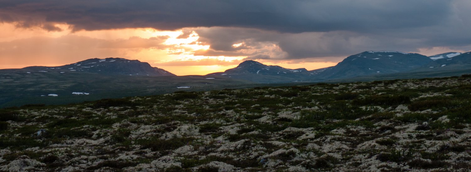 Rondane