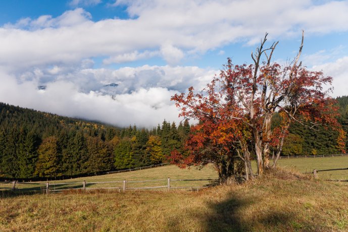 Autumn on Rýchory