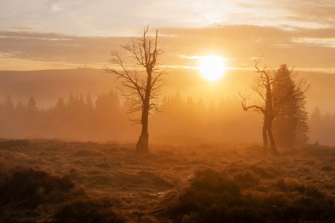 Morning on Jährlingsschachten