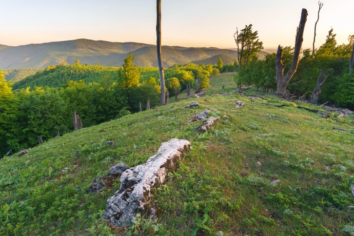 Essence of Little Carpathians