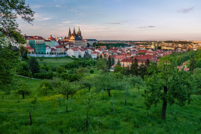 Town overview