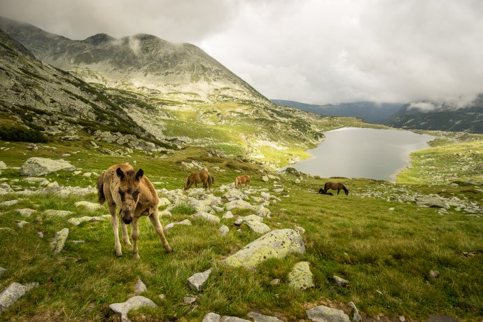 High mountain pastures