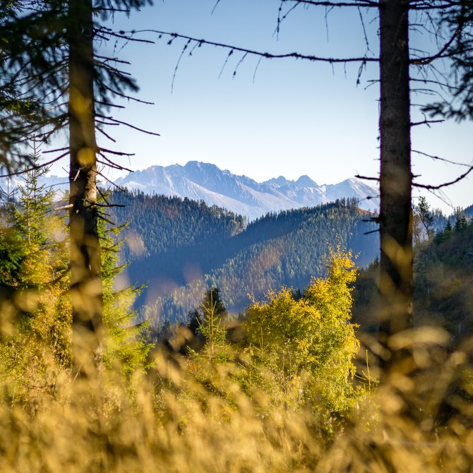 Morning at Ramža shelter