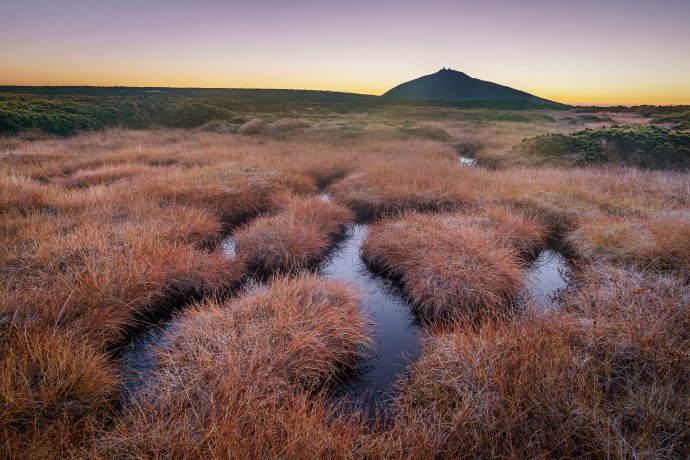 Dawn in czech tundra