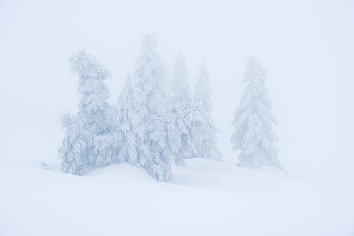 Winter minimalism
