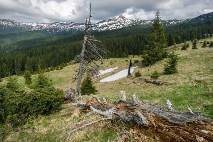 Into the mountains