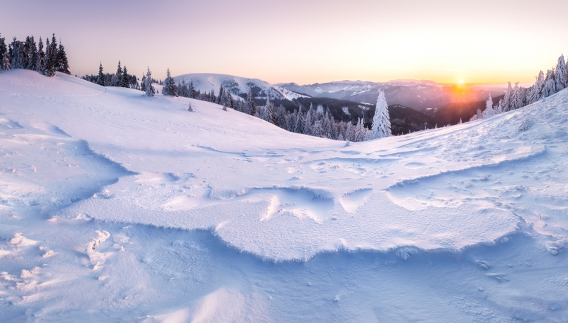 Shapes of winter