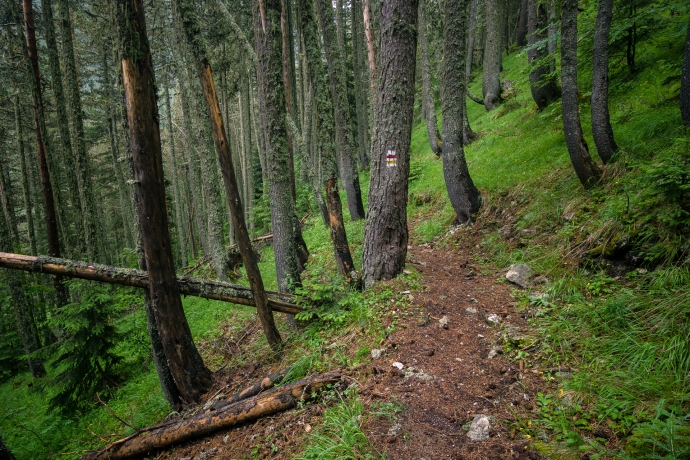 Cesta na hřeben