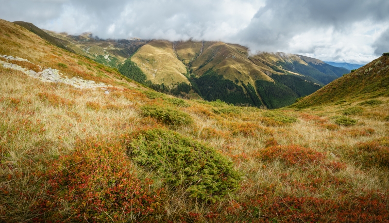 Văcarea ridge