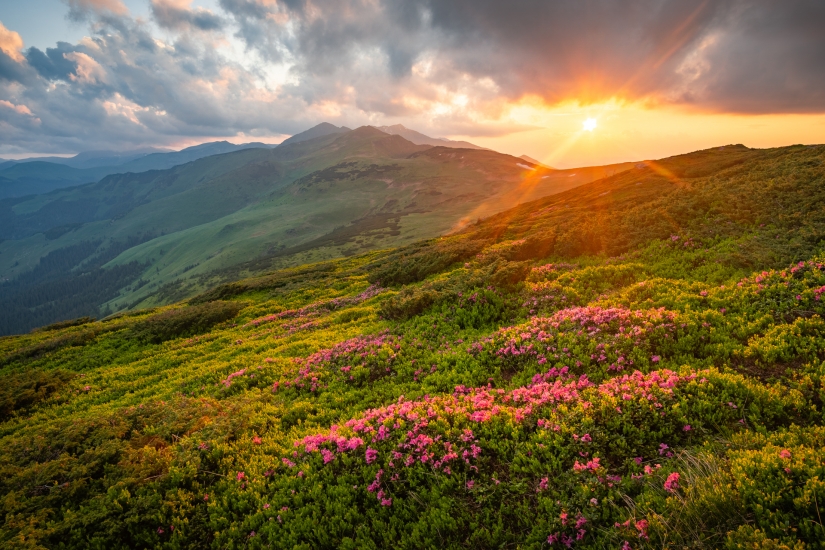 Konec dne v sedle Gârgalău
