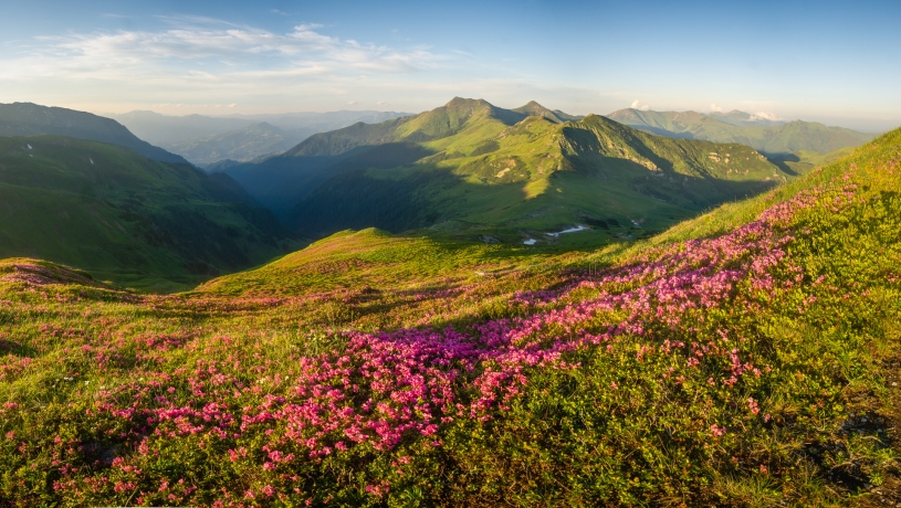 Rodnei mountains from Repede