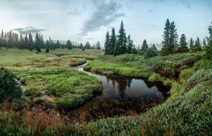 Luzen brook