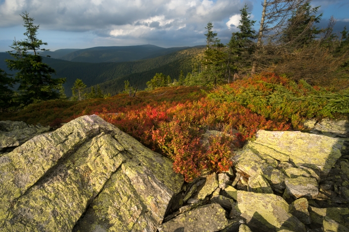 Colours of September