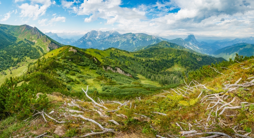 Lehnerleitenspitze