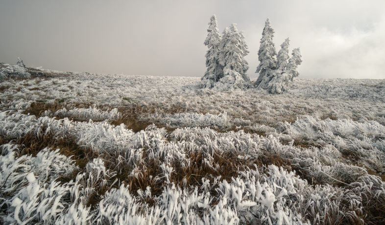 Frost in the mountains