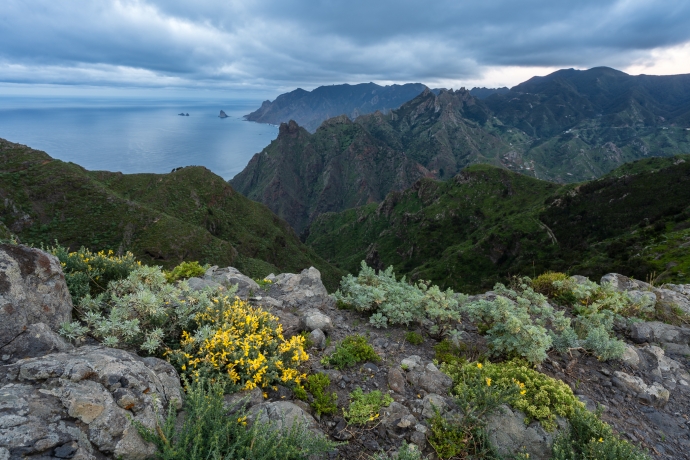 Roque de Taborno