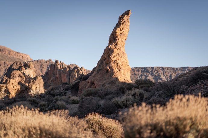 Desert needle