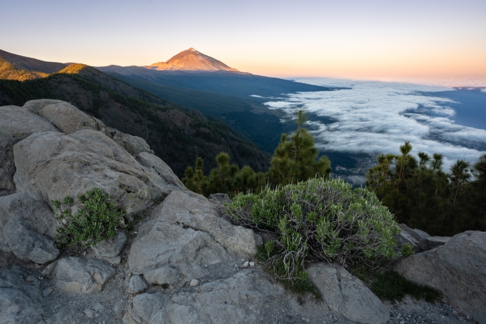 Teide