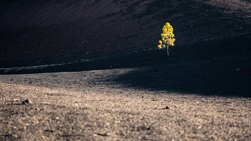 Volcanic solitude
