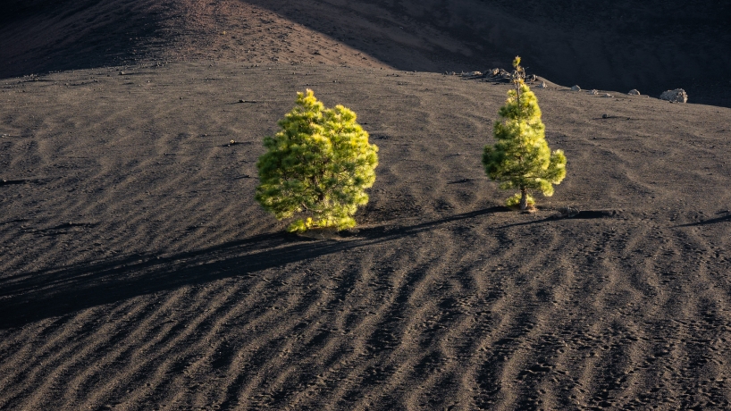 Volcanic waves