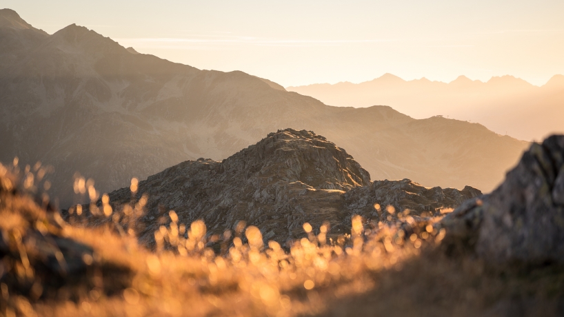 Golden alpine meadows