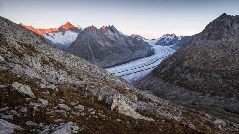 Aletschhorn