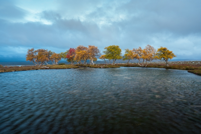 Oasen at dusk