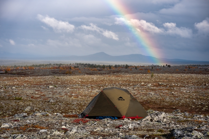 Femundsmarka after rain