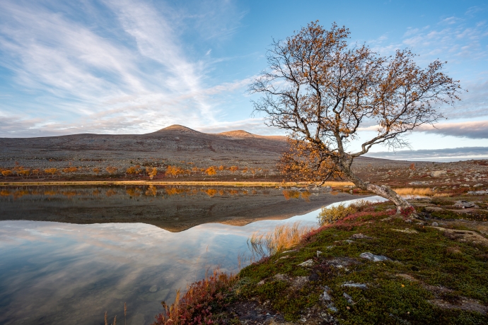 First sunrays on Stor Svuku