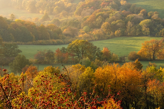 Autumn in the Central Highlands