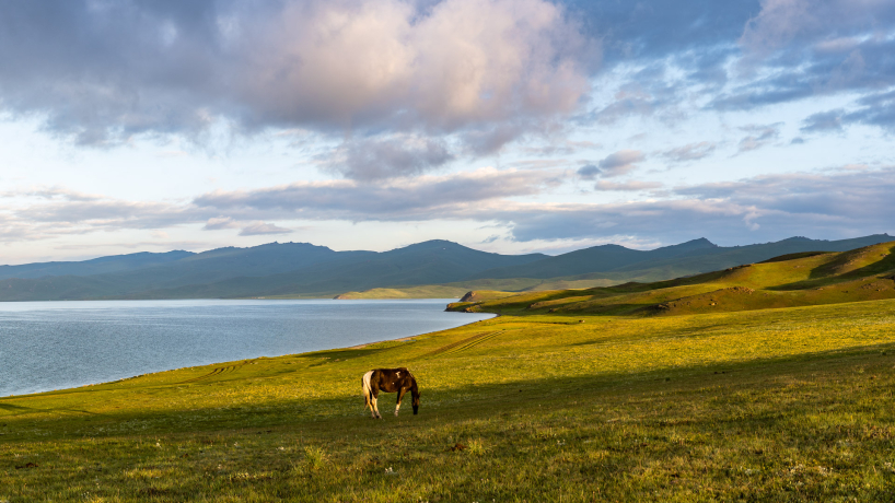 Morning by the shores of Song Kul