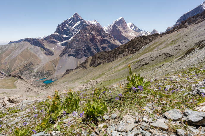 Path to Alauddin Pass