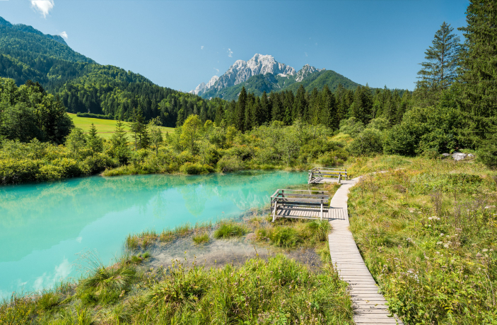 Zelenci