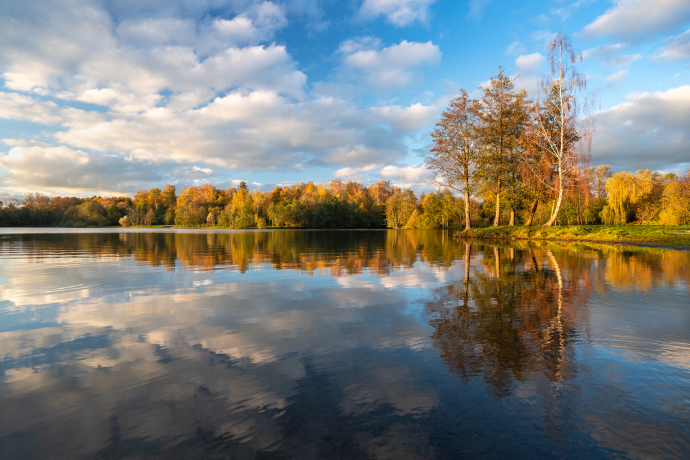 Evening by the lake