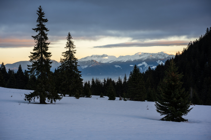 On Predná poľana meadow