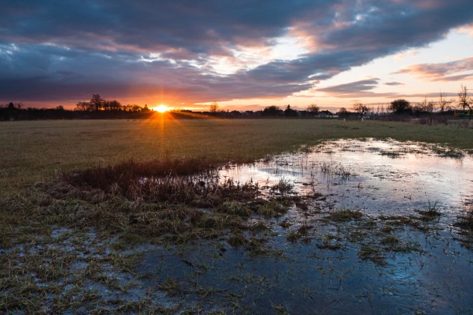 Frozen field