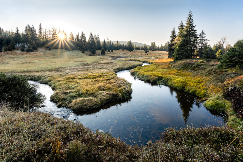 Morning in Lusen valley